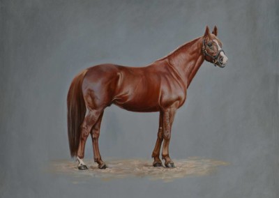 Photo to portrait painting of a chestnut Westphalian in oil on canvas