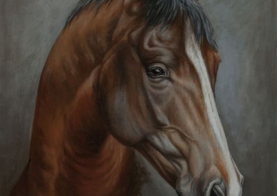 Photo to portrait painting of a head of a brown horse in oil on canvas