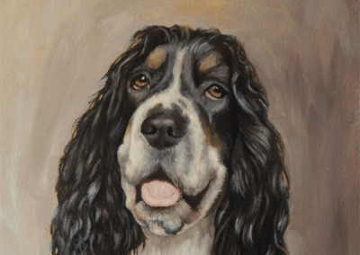 From photo to portrait of Rosanna the Brittany Spaniel in oil