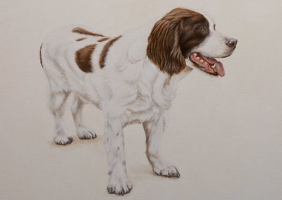 From photo to portrait of Casper the cocker spaniel in oil on canvas