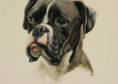 Oil painting of Buster the Boxer on canvas