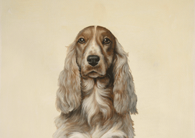 Oil portrait of a seated Cocker Spaniel on canvas
