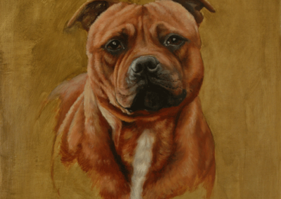 Oil portrait of a Staffordshire Bull Terrier on canvas