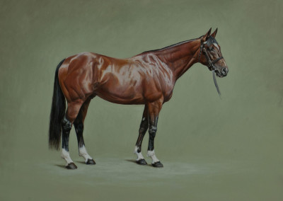 Photo to portrait of Frankel in oil on canvas