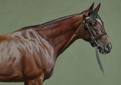 Photo to portrait of Frankel in oil on canvas - detail 2