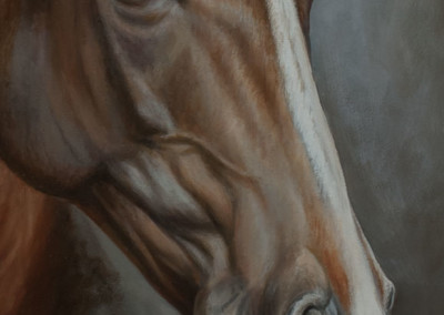 Photo to portrait painting of a head of a brown horse in oil on canvas - detail