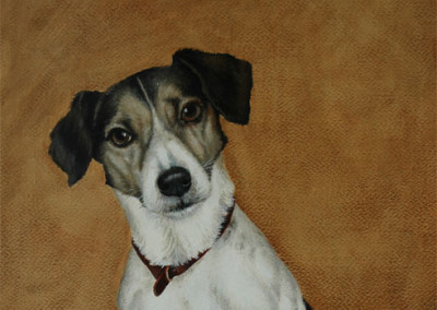 portrait of Max the Jack Russell in oil on canvas