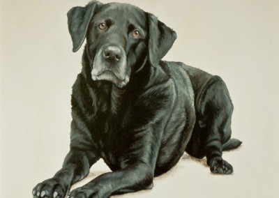 Oil painting portrait of Joe the labrador