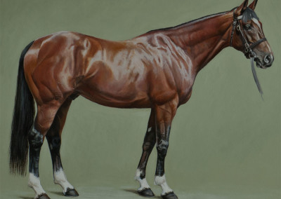 From photo to portrait of Frankel in oil on canvas - a detail