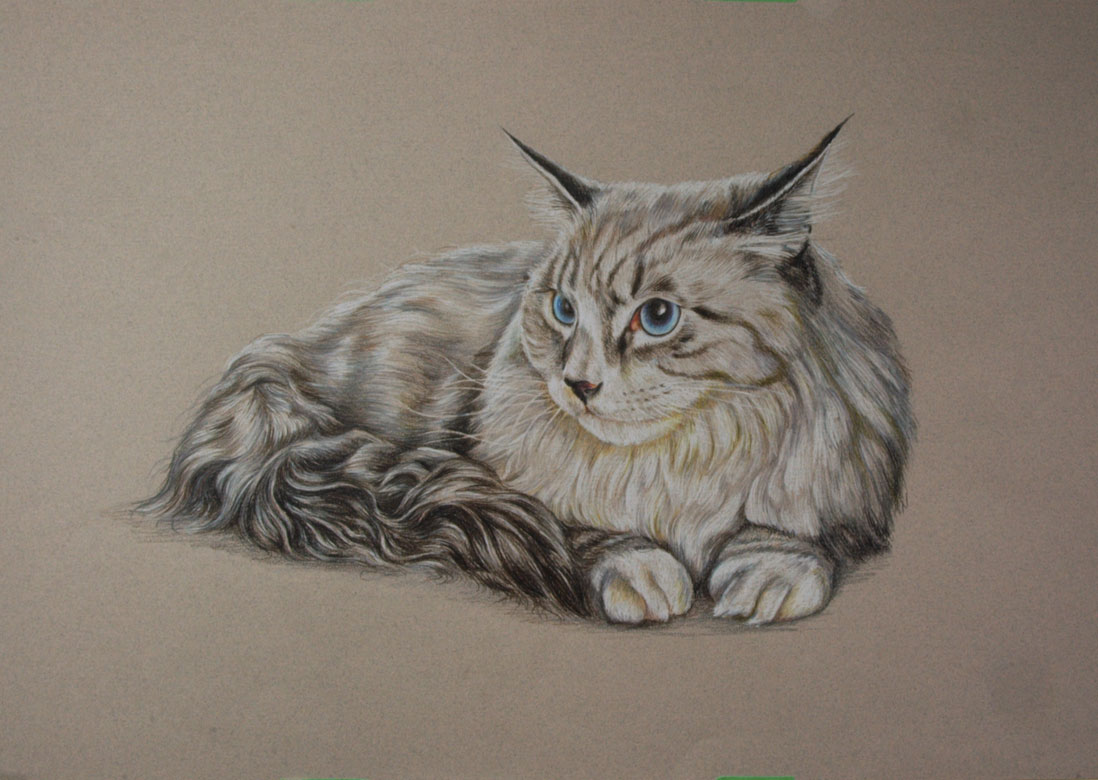 How to Draw and Paint a Cat with Watercolour - Watercolour Workshop