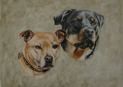 oil painting portrait portrait of an SBT and a Rotweiler