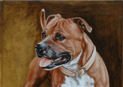 From photo to portrait of Rush the SBT in oil on canvas