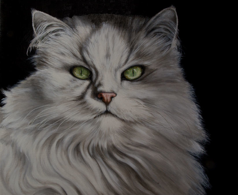 Portraits of Cats in Oil