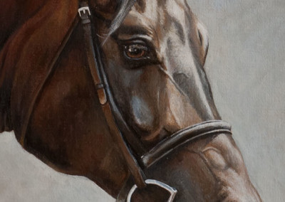 Photo to portrait painting of a horse with bridle in oil on canvas