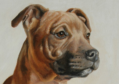 from photo to portrait, an oil painting of a young SBT bitch - detail