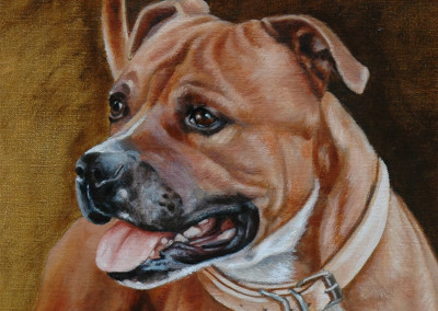 From photo to portrait prices for dogs painted in oil on canvas