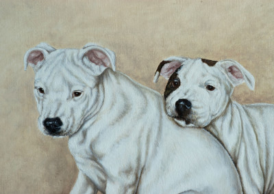 oil painting portrait of three Staffordshire Bull Terriers - detail 2