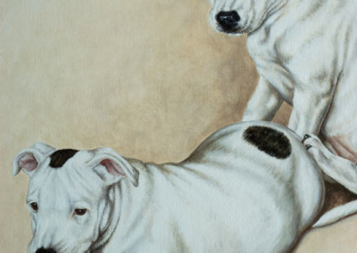 oil painting portrait of three Staffordshire Bull Terriers - detail 1