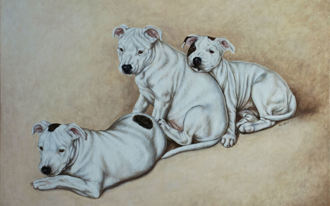 Portraits of Dogs in Oil