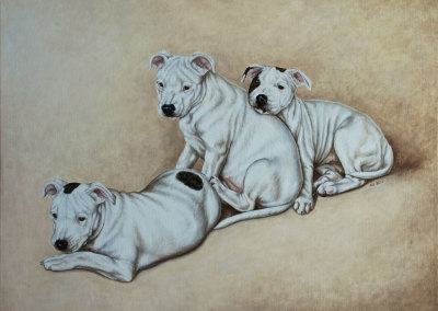 From photo to portrait in oil, three Staffordshire Bull Terriers.