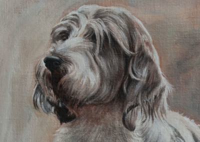 From photo to portrait, a Grand Basset Griffon Vendeen in oil on canvas - detail